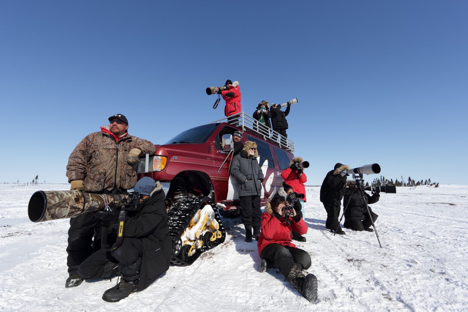 francoise gervais searching for bears