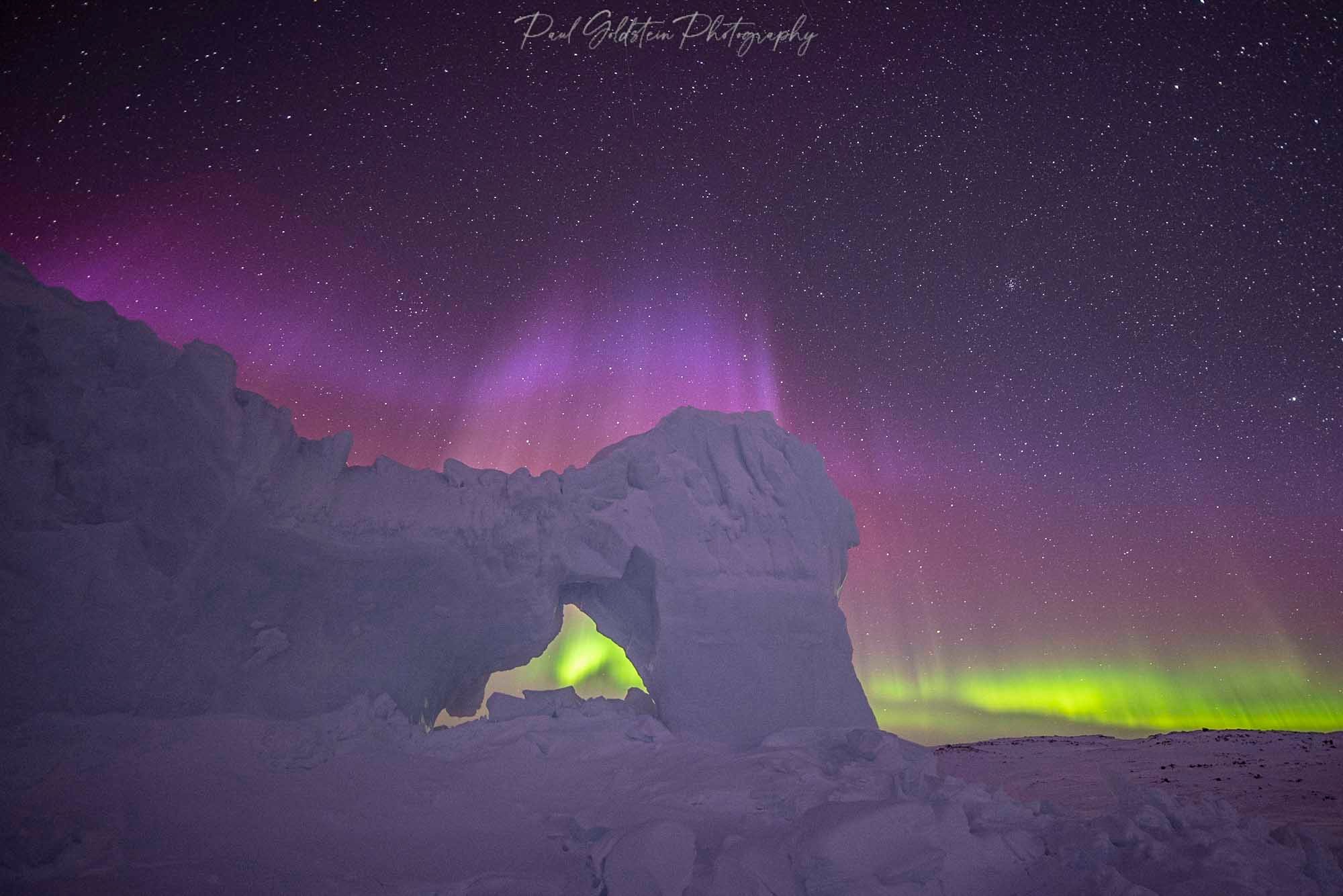 Spring Polar Bears & Icebergs - T 10 - Paul Goldstein -  Arctic Kingdom - Polar Bears - Arctic Wildlife9-1