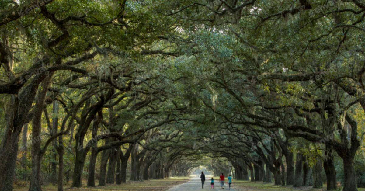 Family vacation in south carolina