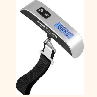 Luggage scale